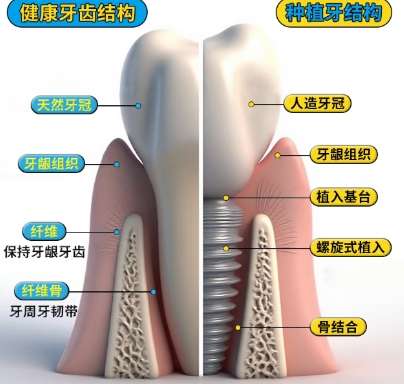 西京医院牙科怎么样?医院口碑评价:客户好评连连!附价格